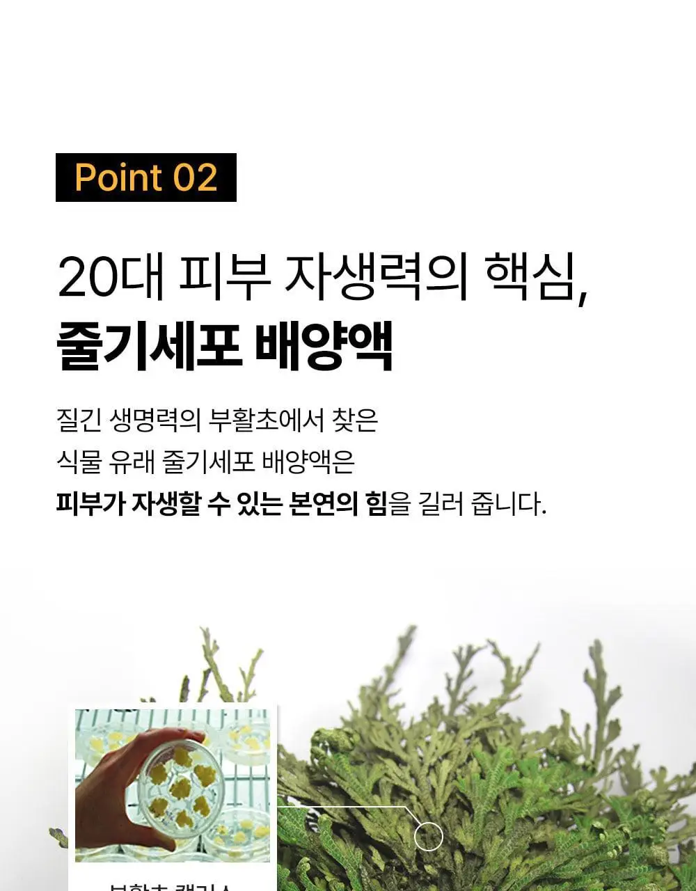 [아이백볼륨UP/주름개선] 성분에디터 실크펩타이드 인텐시브 리프팅 아이크림 30ml 상세페이지 33
